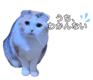 837369592