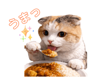 837369600