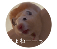 837370569