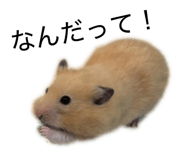837370570