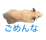 837370574