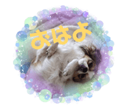 837370866