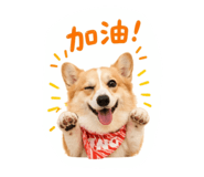837372377