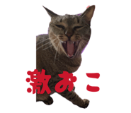 837389705