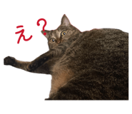 837389707