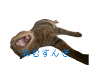 837389708