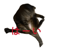 837389709