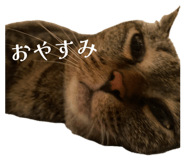 837389712