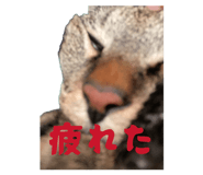 837389713