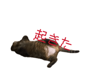 837389714