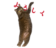 837389715