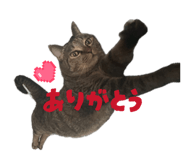 837389716