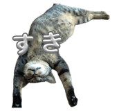 837389717