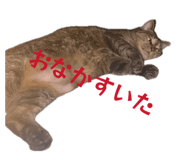 837389720
