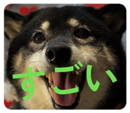 837389814