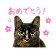 837389913