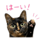 837389920
