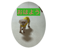 837397524