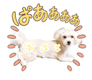 837397921