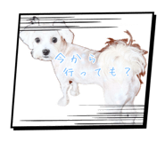 837397924