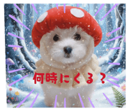 837397935