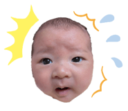 837398755