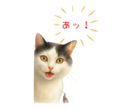 837400888