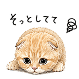 837402937