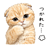 837402939