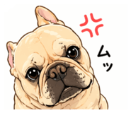 837404774