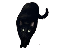 837404831