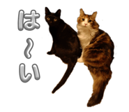 837404832