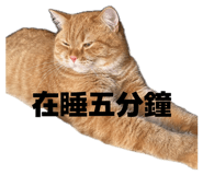 837407297
