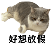 837407300