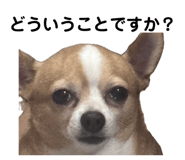 837408427