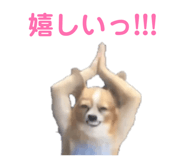 837408431