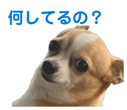 837408432