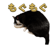 837408585