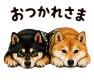 837408635