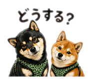 837408637