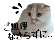 837408749