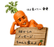 837408991