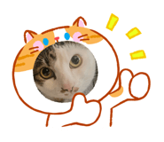 837408995