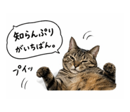 837409526