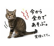 837409527