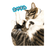 837416476