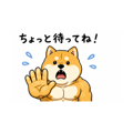 837445307