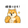 837445311