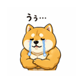 837445322