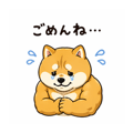 837445331